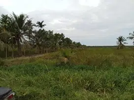 JUAL TANAH HEKTAR UNTUK SAWIT ATAU DERMAGA