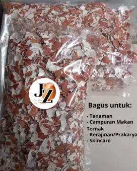 Kulit Telur Pupuk Penyubur Tanaman