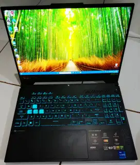 Asus Tuf Gaming F15 RTX4060 I7 Gen 13