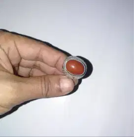 Cincin Hati Ayam free Pirus Aceh