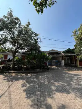 Dijual Murah, Rumah Klasik di PBI Araya, Blimbing Malang