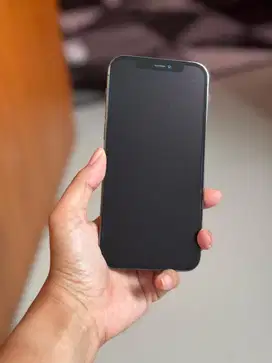 Iphone 12 Pro (Graphite)