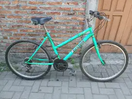 Sepeda MTB bigstone vintage