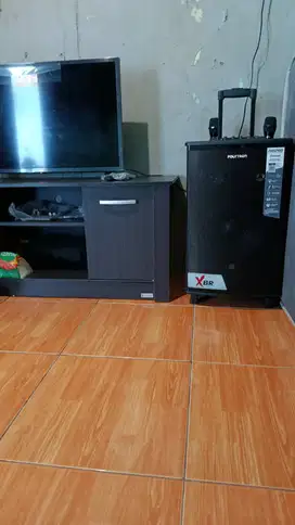 Speaker polytron paspro 10F7