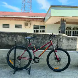 Dijual Sepeda Polygon Repaint Murah aja