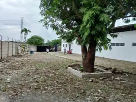 Gudang Bitung, Pabrik Bitung, Gudang Cikupa, Pabrik Cikupa, Tangerang