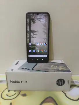 Nokia C31 4/64 Fullset