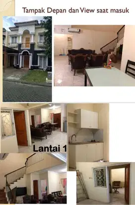 Disewakan rumah di Raffless