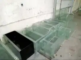 Aquarium ikan hias