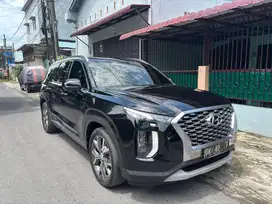Palisade Signature 2.2D 2021