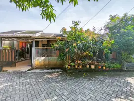 Dijual Rumah Minimalis 10 Menit ke Terminal Parung Dibantu KPR J-31074