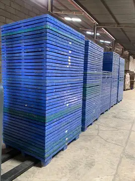 Jual Beli Palet Plastik