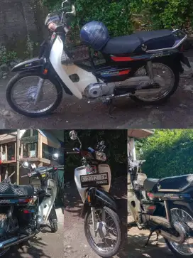 Astrea grand ori