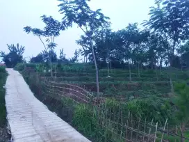 Dijual Tanpa Perantara Tanah Darat Akses Jalan Desa