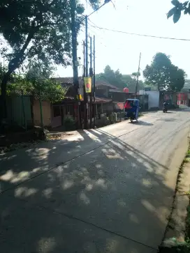 Tanam Pinggir jalan Utama