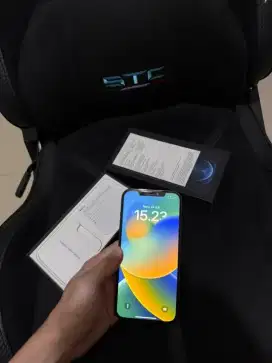 Iphone 12 Pro Max 256GB Blue Resmi Ibox Mulus