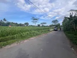 1 JUTAAN Tanah Kaliurang View Sawah Cocok Villa & Hunian Sleman Utara