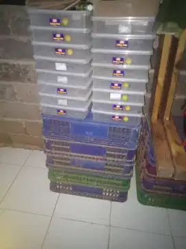 Tempat Box Donat Dan tempat Box Untuk Roti