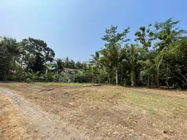100 JUTAAN Dekat Wates Kota Kulon Progo Jogja, SHM Ready