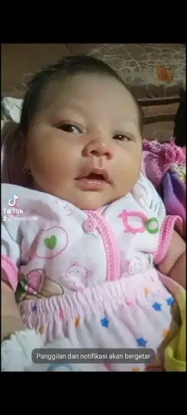 Jasa penitipan anak