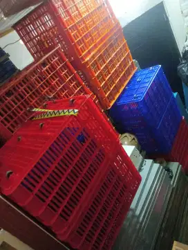 Jual kranjang jumbo industri kokoh 120rb dan 250rb borongan 20set