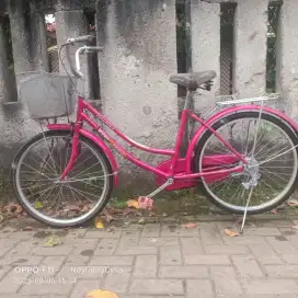 Sepeda cwe ring 24 siap pakai