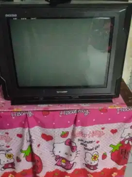 TV sharp 21 inch