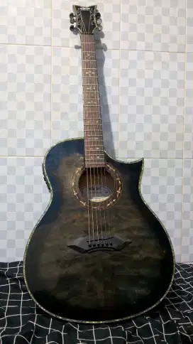 schecter akustik elektrik original