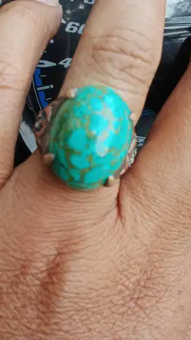 Pirus xnjiang murah