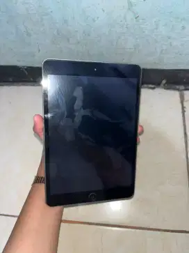 ipad mini 2 grey