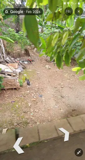 Dijual tanah pekarangan