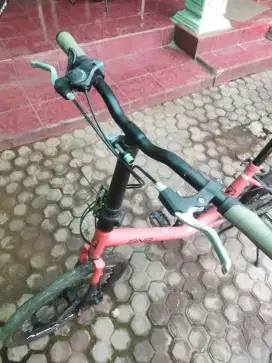 Sepeda Minion 20 inch Full Set