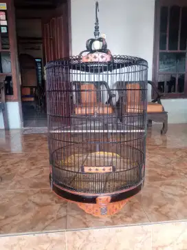 Sangkar murai no2 alusan