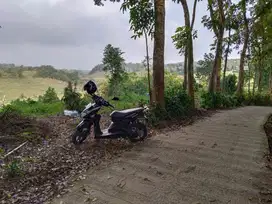 Dijual Tanah Wiew Sawah Dan Gunung Burangrang