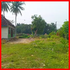 Dijual Tanah Villa Balecatur Jogja Siap Ajb Notaris SHM Pekarangan