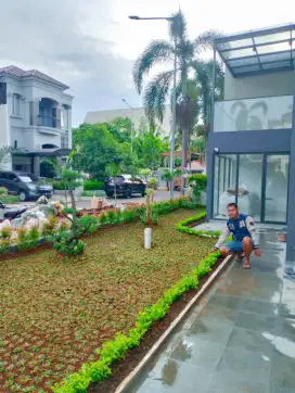 Menerima pembuatan/taman depan ful bonsai/ful rumput/Lis bunga mini