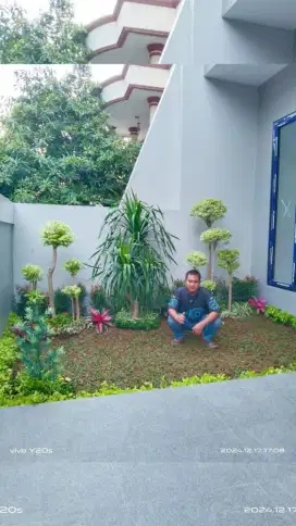 Taman ful bonsai rumput/pandan Bali/lohansung bulee es