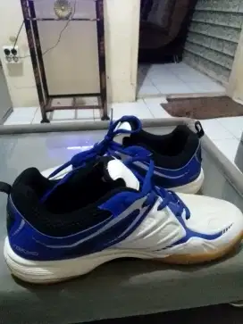 WTS Yonex Badminton