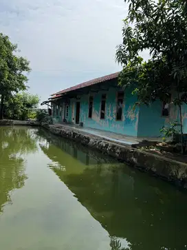 DI JUAL TANAH MURAH STRATEGIS DAN PRODUKTIF COCOK UNTUK PEMANCINGAN