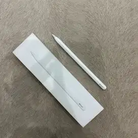 Apple Pencil USB-C Net