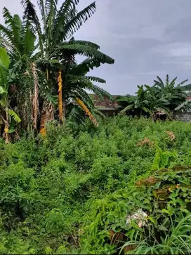 Dijual Tanah Di Bumi Taruna Wage Taman Sidoarjo