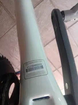 Sepeda Neilpryde Alize Carbon size M