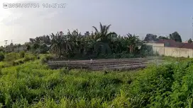 Cari Pekerja Perkebunan