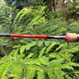 Joran BC Shimano Majestik B610ML-2  7-14lb
