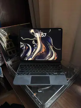 ipad pro 12.9 gen 4 256gb wifi celluler + apple magic keyboard