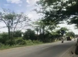 DIJUAL TANAH JALAN PROVINSI PALIMANAN