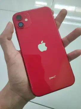 iPhone 11 128GB TT FC on wifi only