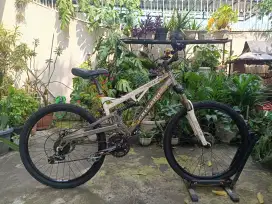 MTB Polygon axion 3.0