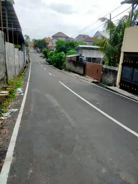 TANAH PLOT KECIL MUDING BELAKANG MITRA 10 GATSU BARAT DENPASAR  CAY098