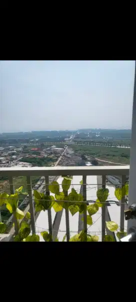Disewakan Apartemen Tokyo PIK2 studio